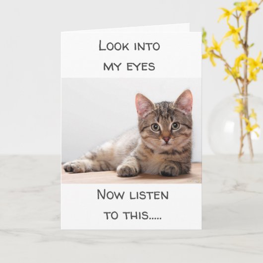 EEN KAT DIE GEVOELEN HEEFT, ZEGT "HAPPY BIRTHDAY" KAART (Gele Bloem)