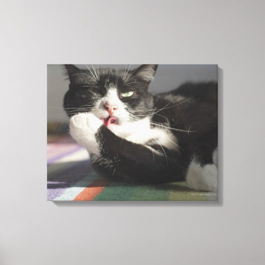 Een kat die het schopt is Paw. Canvas Afdruk (Voorkant)