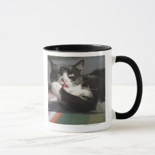 Een kat die het schopt is Paw Mok