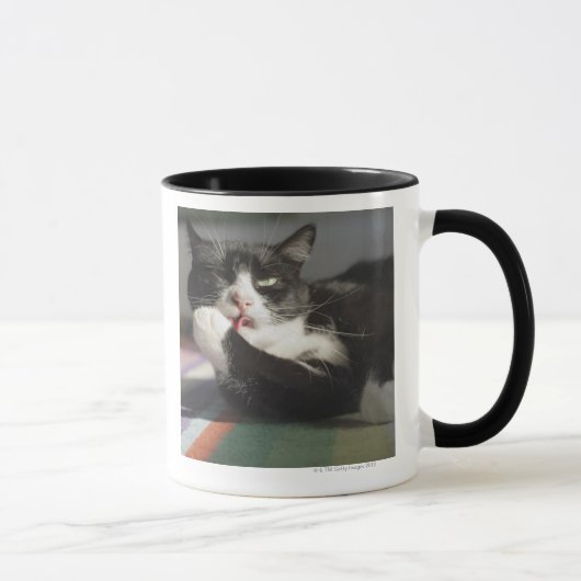 Een kat die het schopt is Paw Mok (Rechts)