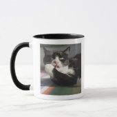 Een kat die het schopt is Paw Mok (Links)
