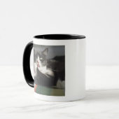 Een kat die het schopt is Paw Mok (Voorkant links)
