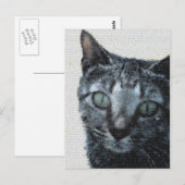 Een kat door een Dragonfly's ogen. Briefkaart (Voorkant / Achterkant)