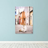 Een kat in de straten van Burano, Italië. 2006. Canvas Afdruk (Insitu (Houten vloer))