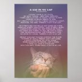 Een kat in mijn lab poster (Voorkant)