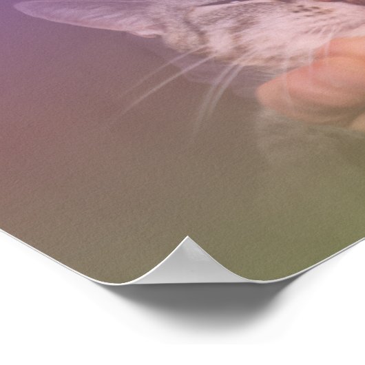 Een kat in mijn lab poster (Hoek)