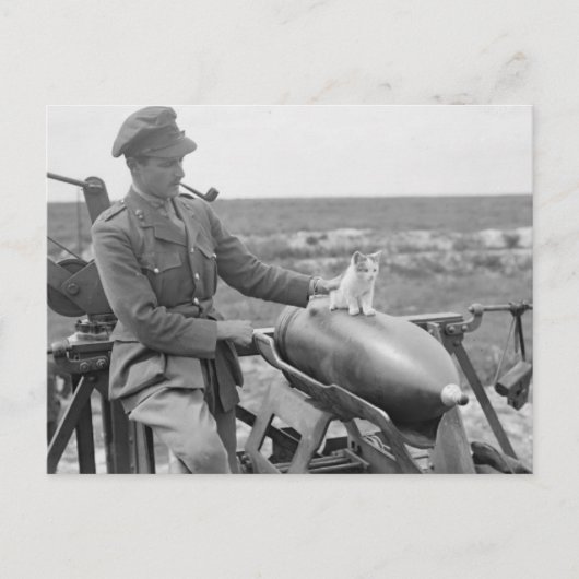 Een Kat in oorlog Briefkaart (Voorkant)