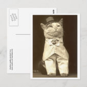 Een kat in pak en pet! briefkaart (Voorkant / Achterkant)
