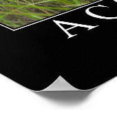 Een kat is een Lion Indian Proverb Artwork Poster (Hoek)