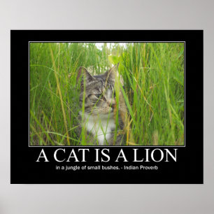 Een kat is een Lion Indian Proverb Artwork Poster