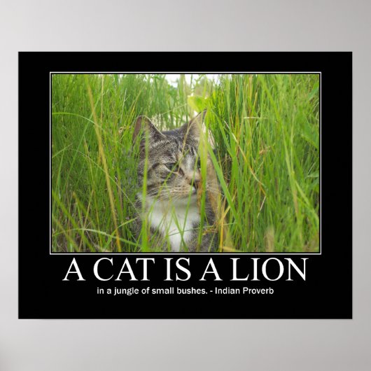 Een kat is een Lion Indian Proverb Artwork Poster (Voorkant)