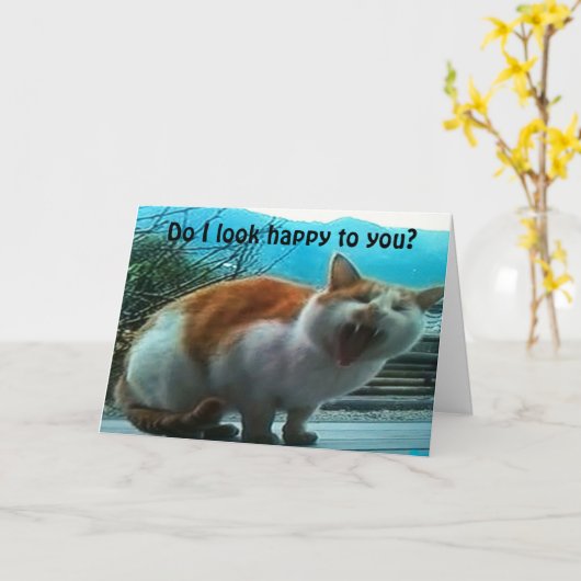 EEN KAT KAN PUNTEN OVER DE KANT - ***I MIST U!*** KAART (Gele Bloem)