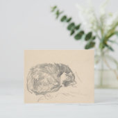 Een kat kromp, geslapen door Edouard Manet. Briefkaart (Staand voorkant)