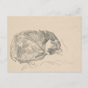 Een kat kromp, geslapen door Edouard Manet. Briefkaart