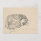 Een kat kromp, geslapen door Edouard Manet. Briefkaart (Voorkant)