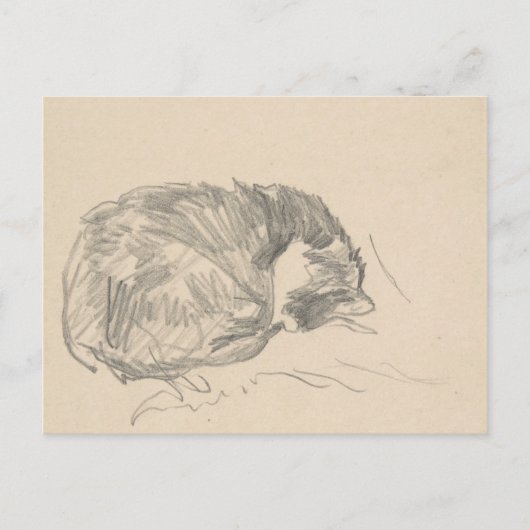 Een kat kromp, geslapen door Edouard Manet. Briefkaart (Voorkant)