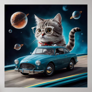 Een kat met een bril die in een auto rijdt... poster