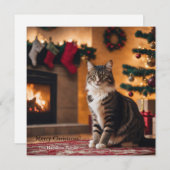 Een kat met een kerstboom en open haard feestdagenkaart (Voorkant / Achterkant)