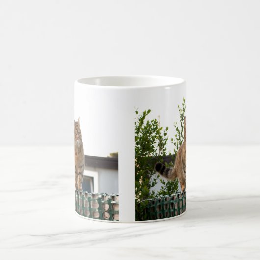 een kat op een mok (Center)