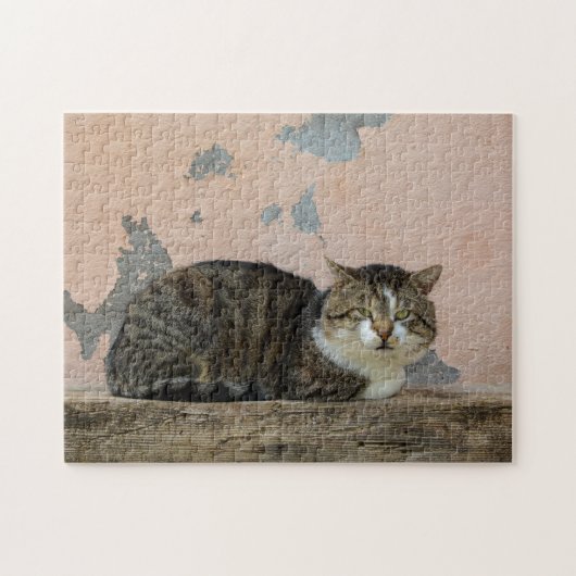 Een kat voor een oude muur legpuzzel (Horizontaal)