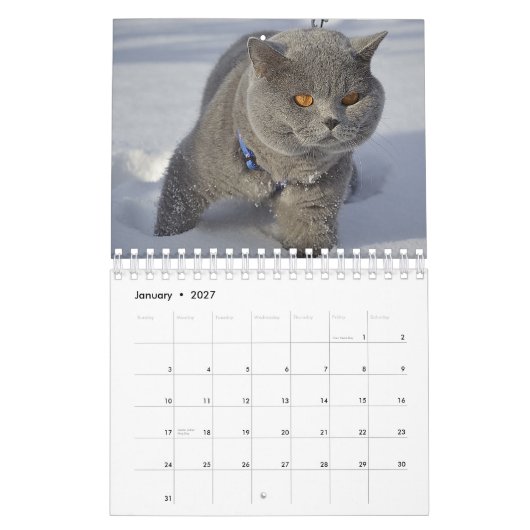 Een kat voor elke seizoenskalender kalender (Jan 2027)