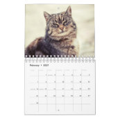 Een kat voor elke seizoenskalender kalender (Feb 2027)