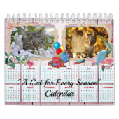 Een kat voor elke seizoenskalender kalender (Hoes)