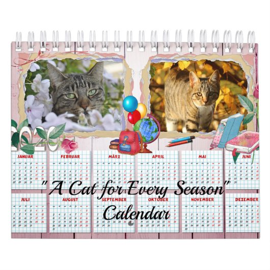Een kat voor elke seizoenskalender kalender (Hoes)