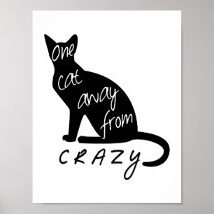 Een kat weg van CRAZY Poster