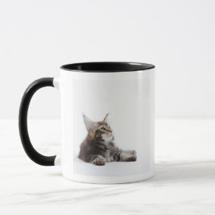 Een katje Maine Coon. Mok