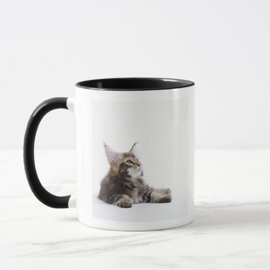 Een katje Maine Coon. Mok (Links)