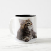 Een katje Maine Coon. Tweekleurige Koffiemok (Voorkant links)