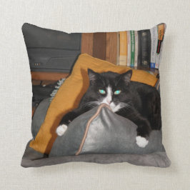 Een katje verwijderen kussen