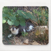 Een kattendeksel muismat (Voorkant)