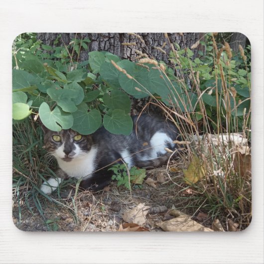 Een kattendeksel muismat (Voorkant)