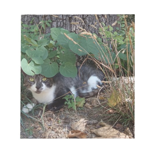 Een kattendeksel notitieblok (Voorkant)