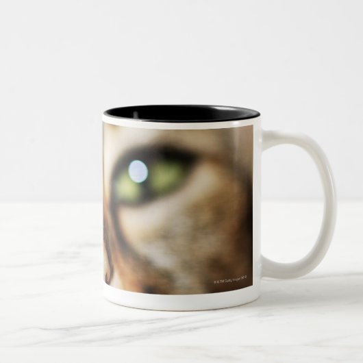 Een kattengezicht tweekleurige koffiemok (Rechts)