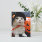 Een kattenhalloween briefkaart (Staand voorkant)