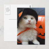 Een kattenhalloween briefkaart (Voorkant / Achterkant)