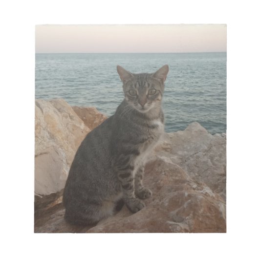 Een kattenmodel notitieblok (Voorkant)