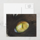 Een kattenoog briefkaart (Voorkant / Achterkant)