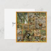 een keer op een vogel (Voorkant / Achterkant)