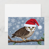Een kerst uil op een blauwe achtergrond feestdagenkaart (Voorkant / Achterkant)
