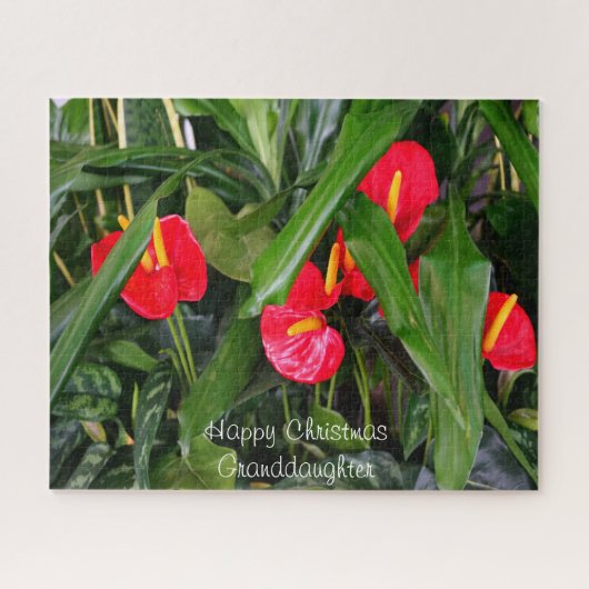 Een kerstcadeau voor mijn kleindochter. legpuzzel (Horizontaal)