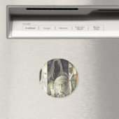 Een kerstlied, Scrooge en de drie geesten Magneet (Insitu (Vaatwasser))