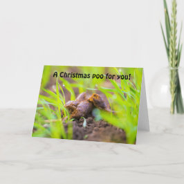 Een kerstpoep voor jou feestdagen kaart
