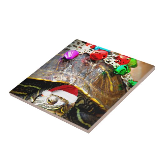 Een kerstschildpad tegeltje (Zijkant)