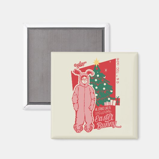 Een kerstverhaal | gestoorde paashaas magneet (Voorkant / Achterkant)