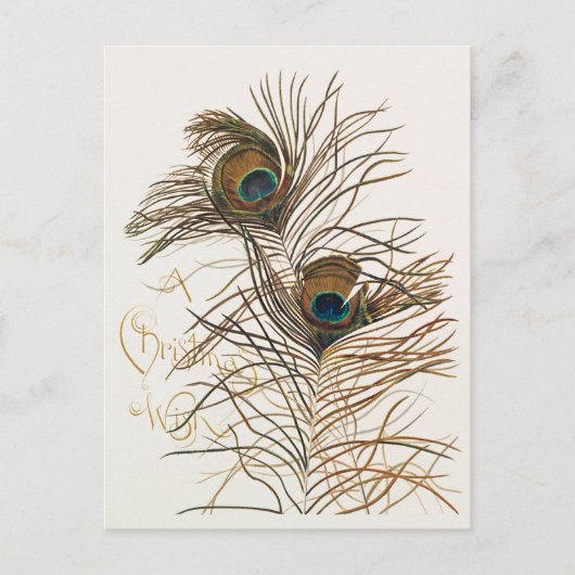 Een kerstwens met een tropische feestdag Kaart (Voorkant)