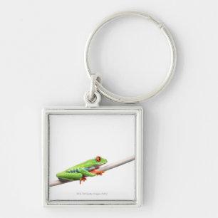 Een kikker die aan hangt sleutelhanger